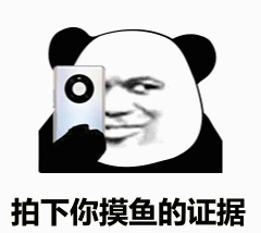 拍下你摸鱼的证据（拍下你摸鱼的证据）