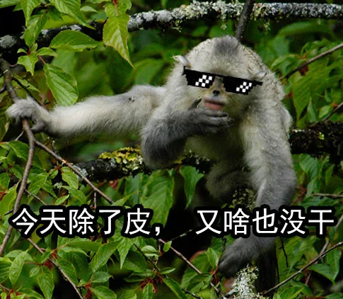 今天除了皮,又啥也没干