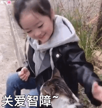 关爱智障（关爱智障）