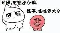 讨厌，佗家还小嘛_动图_无节操_搞笑_装逼表情包
