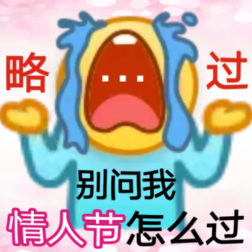略过别问我情人节怎么过（略过别问我情人节怎么过）
