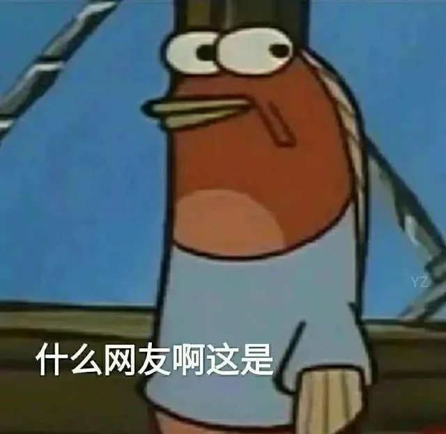 YZ什么网友啊这是（YZ什么网友啊这是）
