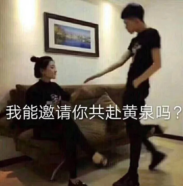 我能邀请你共赴黄泉吗?(社会摇)（我能邀请你共赴黄泉吗?(社会摇)）