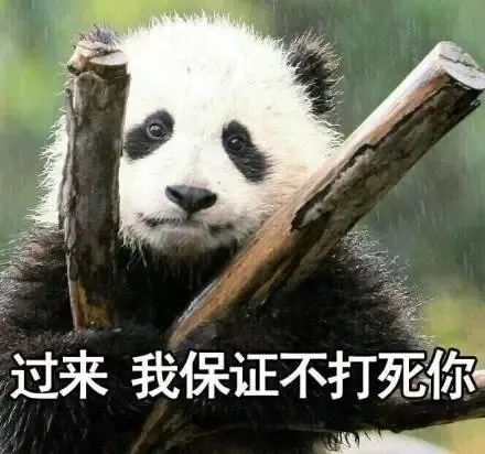 你过来 我保证不打死你（你过来 我保证不打死你）