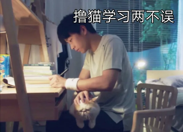 撸猫学习两不误（奋斗吧少年）（撸猫学习两不误（奋斗吧少年））