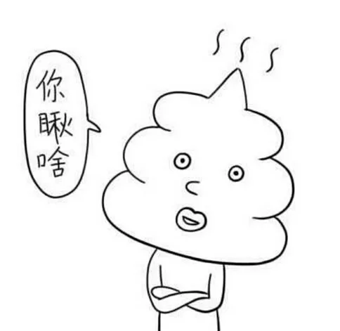 你瞅啥（你瞅啥）
