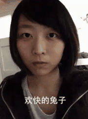 欢快的兔子
