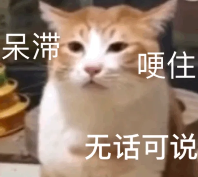 呆滞哽住无话可说（呆滞哽住无话可说）