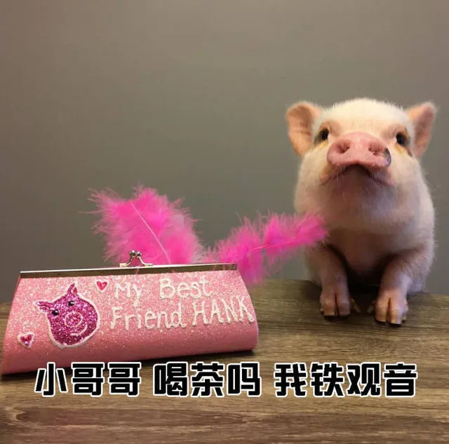 en小哥哥喝茶吗我铁观音（en小哥哥喝茶吗我铁观音）