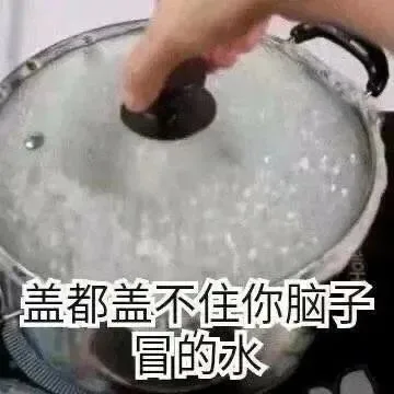 盖都盖不住你脑子冒的水（盖都盖不住你脑子冒的水）