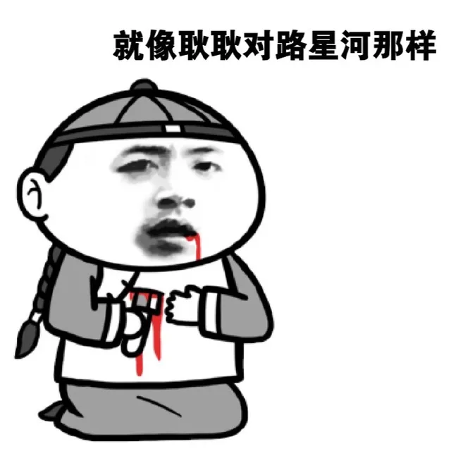 就像耿耿对路星河那样