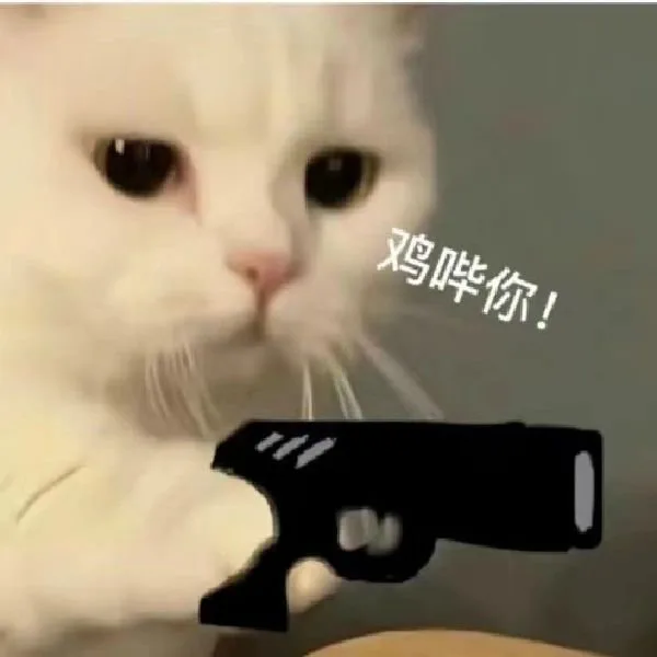 鸡哔你！(猫猫表情包)（鸡哔你！(猫猫表情包)）