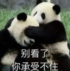 别看了你承受不住（别看了你承受不住）
