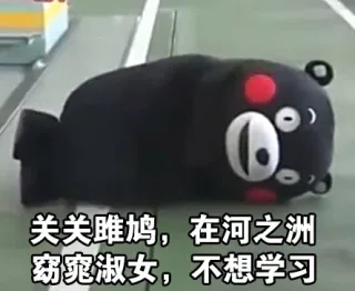 关关雎鸠，在河之洲 窈窕淑女，不想学习