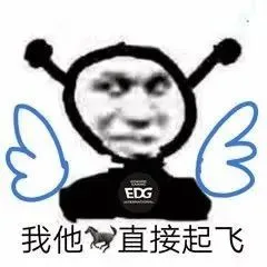 EDG 我他直接起飞