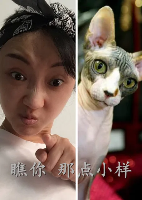 瞧你 那点小样（瞧你 那点小样）