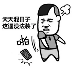 天天混日子 这逼没法装了