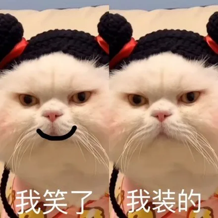 我笑了我装的（我笑了我装的）