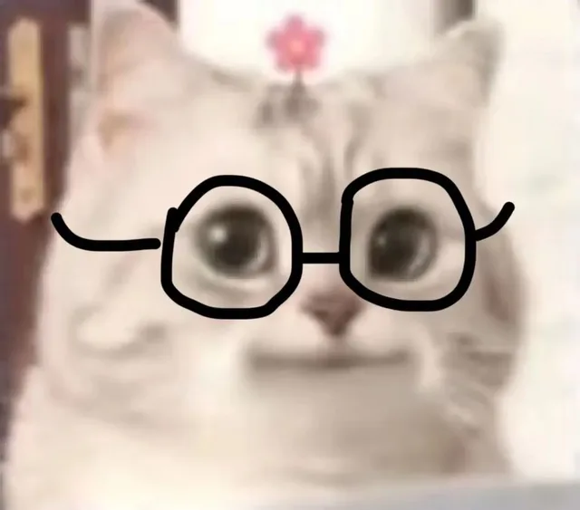 微笑小猫表情包 戴眼镜