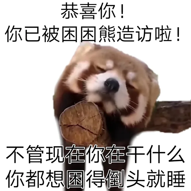 恭喜你!你已被困困熊造访啦!不管现在你在干什么你都想困得倒头就睡