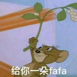 给你一朵小花花（小 fafa）
