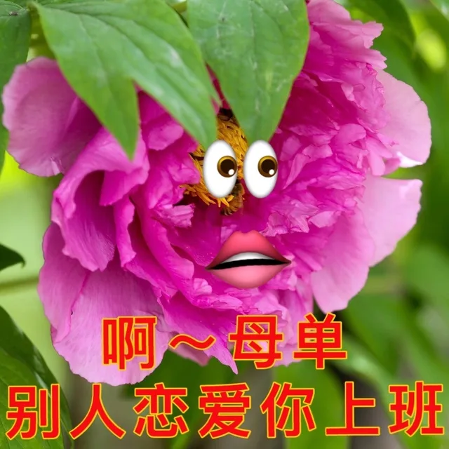 啊母单别人恋爱你上班（啊母单别人恋爱你上班）
