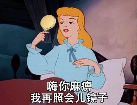 嗨你麻痹 我再照会儿镜子（嗨你麻痹 我再照会儿镜子）
