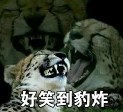 好笑到豹炸（好笑到豹炸）