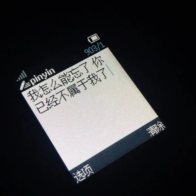 我怎么能忘了，你已经不属于我了（我怎么能忘了，你已经不属于我了）