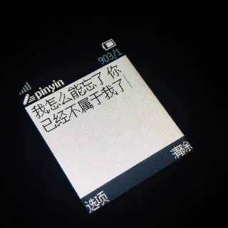 我怎么能忘了，你已经不属于我了