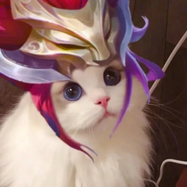王者荣耀猫头头像9（王者荣耀猫头头像9）