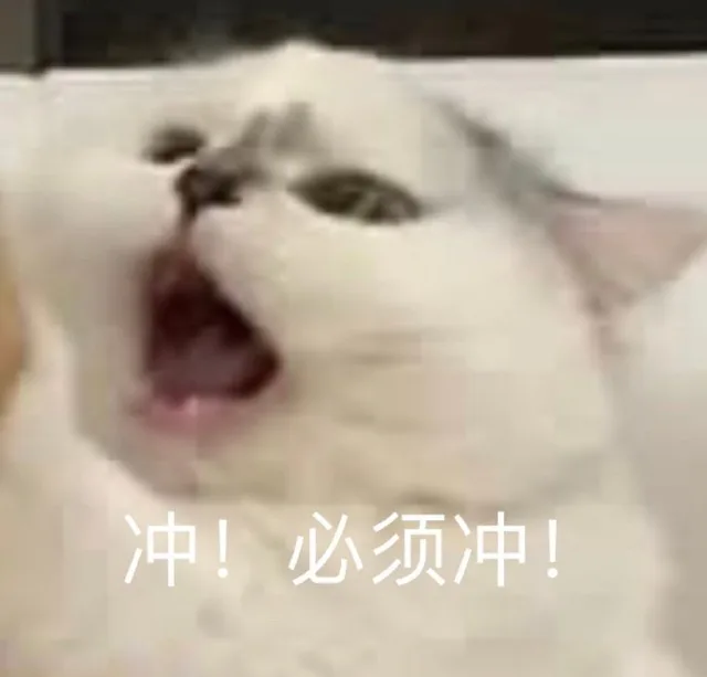 冲！必须冲！（冲！必须冲！）