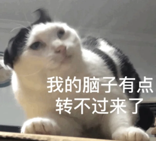 我的脑子有点转不过来（我的脑子有点转不过来）