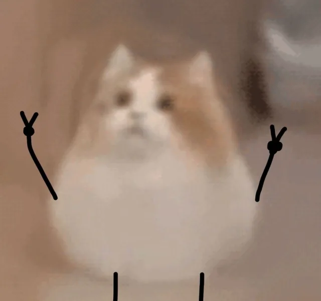 (比耶)（(比耶)）