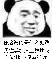 你这说的是什么狗话我往手机屏上放块肉狗都比你说话好听