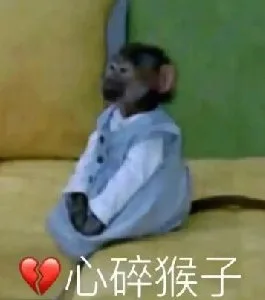 心碎猴子（心碎猴子）