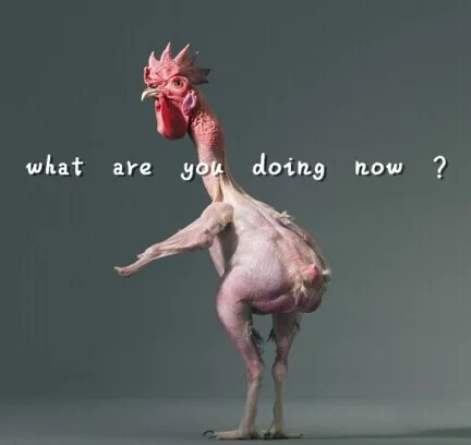 what are you doing now？