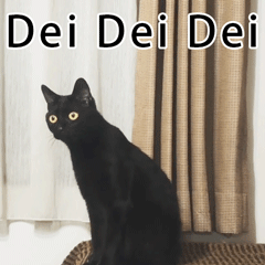 dei dei dei（dei dei dei）