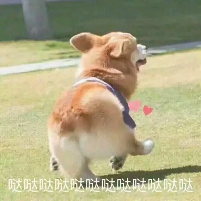 哒哒哒哒哒哒哒哒哒哒哒哒（哒哒哒哒哒哒哒哒哒哒哒哒）