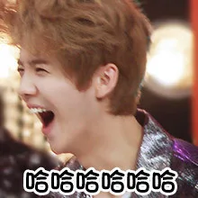 哈哈哈哈哈哈哈哈（哈哈哈哈哈哈哈哈）