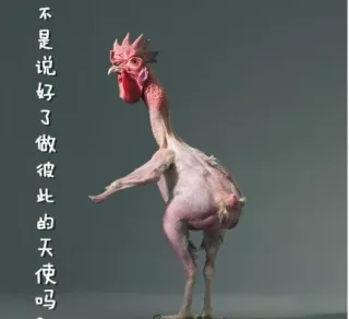 无毛鸡搞笑表情_公鸡表情包