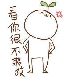 看你很不爽哎（看你很不爽哎）
