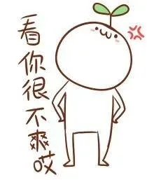 看你很不爽哎