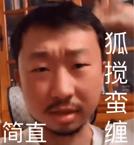 简直胡搅蛮缠 （藏狐狐主任小亮表情包）