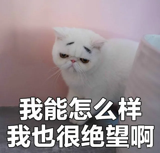 我没有不开心_丧气_喵咪表情包