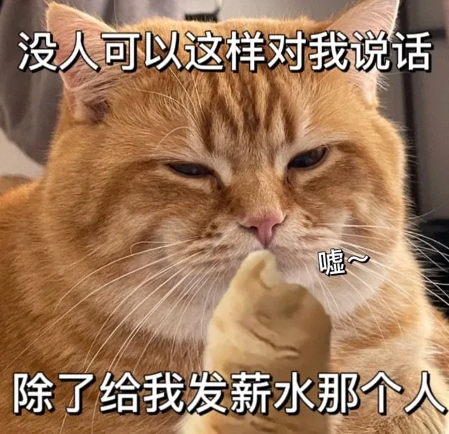 没人可以这样对我说话嘘~除了给我发薪水那个人（没人可以这样对我说话嘘~除了给我发薪水那个人）