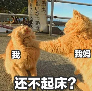 我妈锁喉我：还不起床？