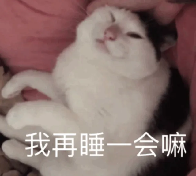 我再睡一会嘛（我再睡一会嘛）