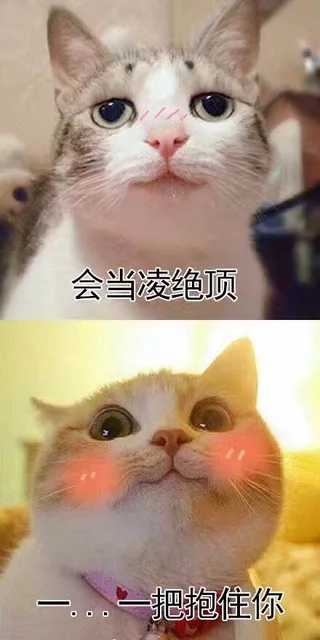 会当凌绝顶一把抱住你