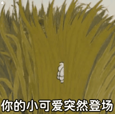 你的小可爱突然登场（你的小可爱突然登场）